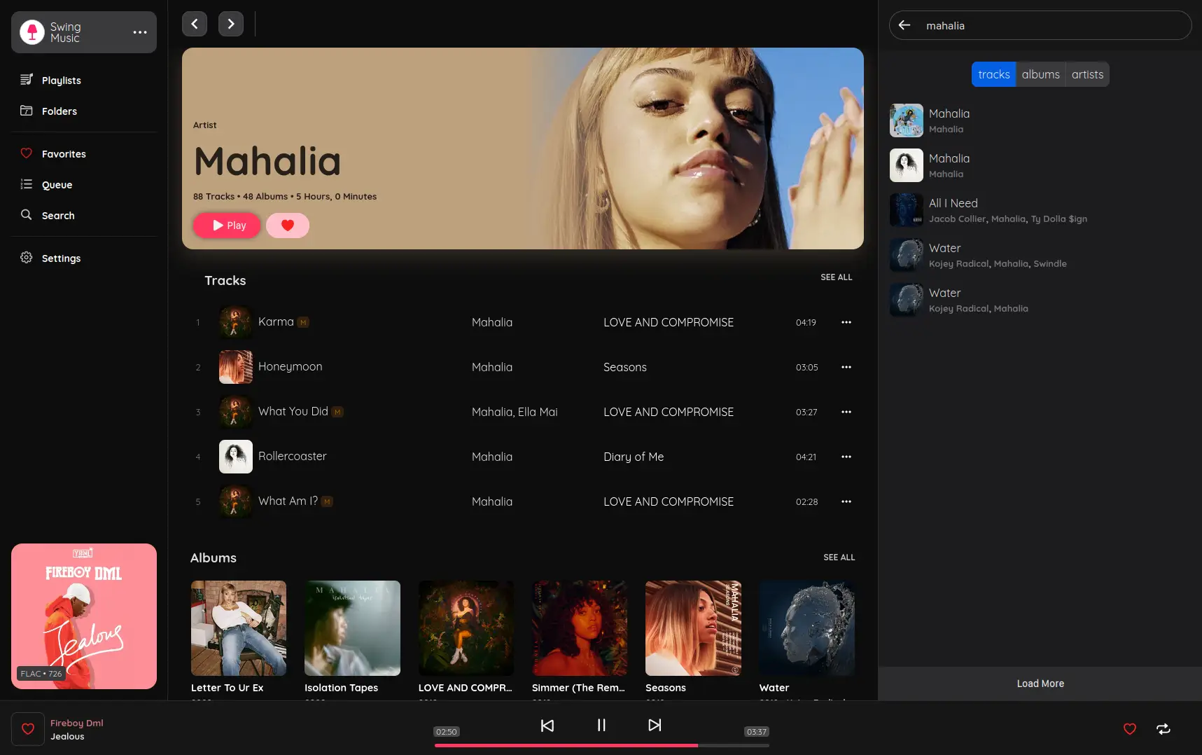 SWING MUSIC PLAYER BANNER IMAGE