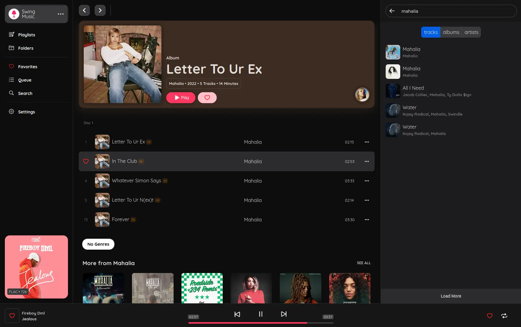 SWING MUSIC PLAYER BANNER IMAGE